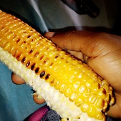 A picture of Roasted Corn.