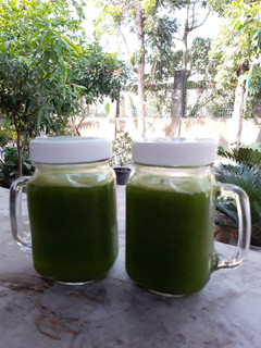 Foto resep Jus Pakcoy Seledri
