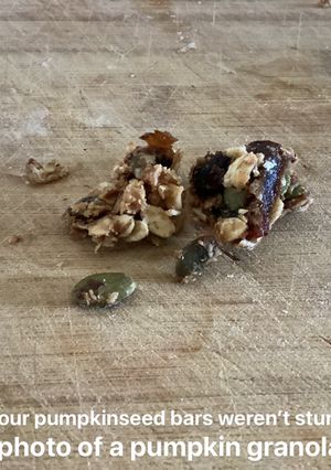 A picture of Pumpkinseed Energy Bars.