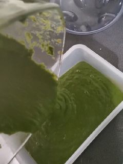 Una foto de Crema de espinaca sanita