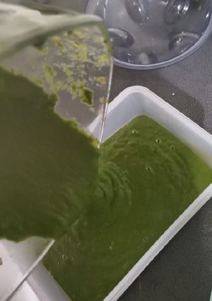 Una foto de Crema de espinaca sanita