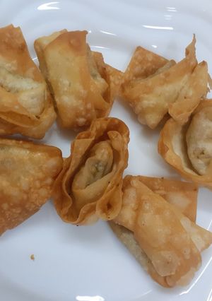 A picture of Chicken Wonton.