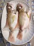 Steam Fish