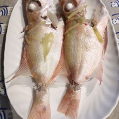 A picture of Steam Fish.