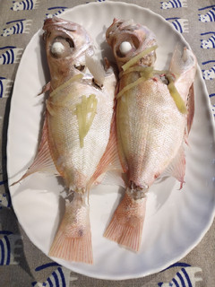A picture of Steam Fish.