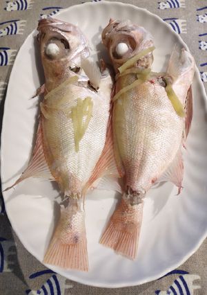 A picture of Steam Fish.