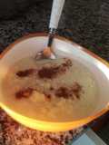 Arroz con leche