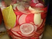 Una foto de rabanitos en vinagre