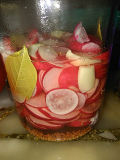 Una foto de Rabanitos en vinagre o pickles de Rabanitos