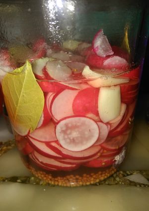 Una foto de Rabanitos en vinagre o pickles de Rabanitos