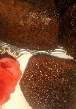 Foto resep *18_Bolu Karamel (Sarang Semut)