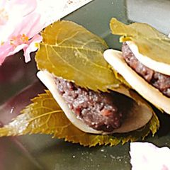 A picture of Sakura Mochi.