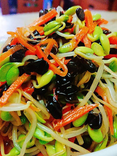 涼拌黃豆芽菜 的食譜成品照片