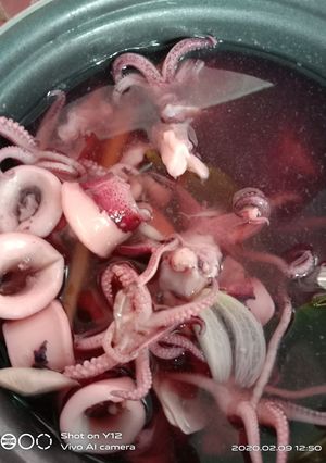 Foto resep Sup sotong alias cumi seger