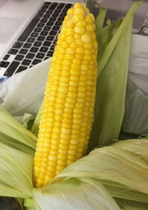 Hình của món Bắp tàu hoả.