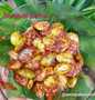 Easy Way Prepare Sambal pete the  Makes Drooling Appealing