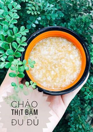 Hình của món Ăn dặm - Cháo thịt bằm đu đủ.