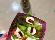 Una foto de tomate con membrillo