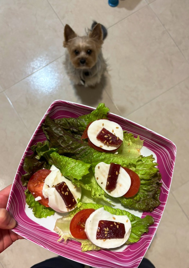 Una foto de Roble con tomate, queso fresco y membrillo casero 🤤