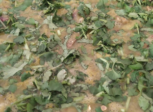 Una foto de Mollejas de pollo en salsa verde 👌♥️