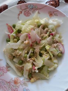 عکسی از دستور سالاد رژیمی
