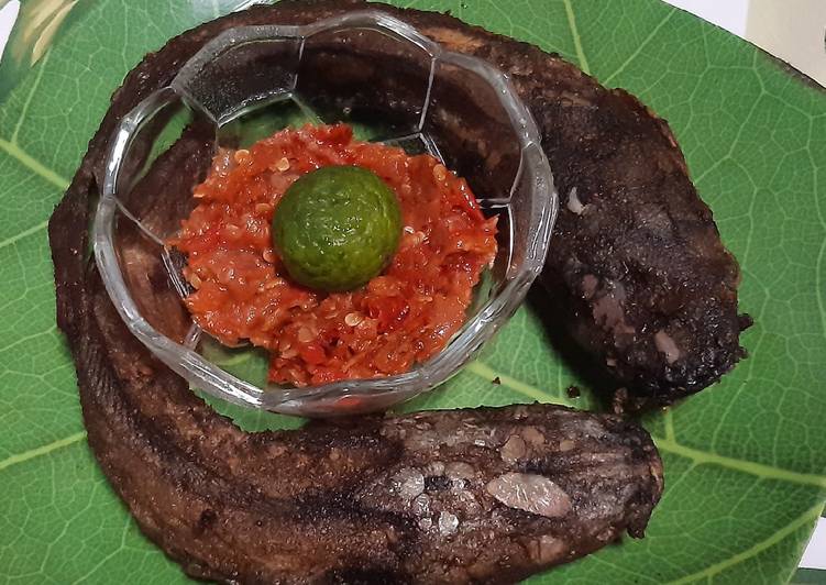 Lele Goreng Sambal Terasi