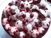Une photo de cerises griottes