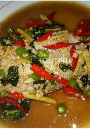 Foto resep Steam Kakap merah