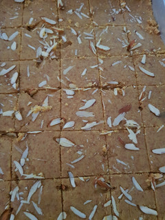 મોહનથાળ (Mohanthal Recipe in Gujarati) રેસીપી મુખ્ય ફોટો