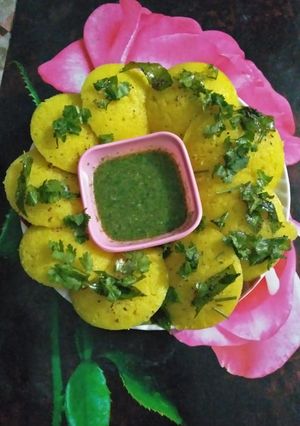 A picture of Dhokla idli recipe.