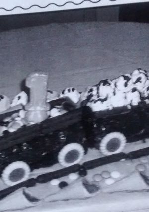 Una foto de Tren de la fantasía
