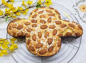 Foto di Colomba pasquale veloce🕊 con cocco e gocce di cioccolato 🥥🍫