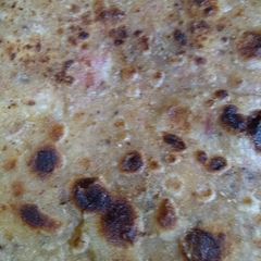 A picture of Muli ka paratha.