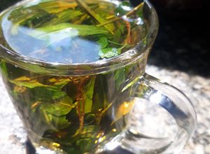 صورة لوصفة الشاي الأخضر🌷🌿