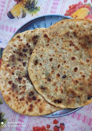 A picture of Gram feeling Paratha.