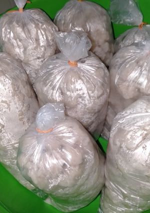 Foto resep Pentol tekwan