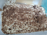 "Tiramisú"
