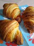 Sourdough Croissants