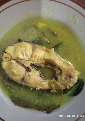 Foto resep Ikan patin bumbu kuning mpasi 10 m+