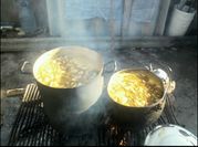 Una foto de extracto carne