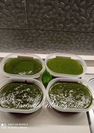 A picture of Organic Sicilian Genovese Pesto.