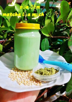 Hình của món Sữa đêm matcha lúa mạch.