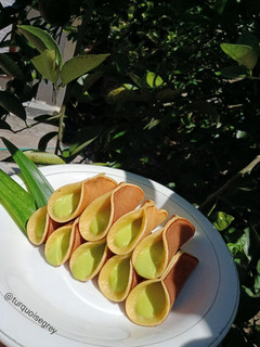 Foto resep Khanom Tokyo Custard Pandan (Kue Manja)🌿