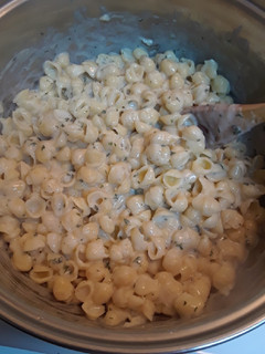 A picture of Creamy Garlic Shells.