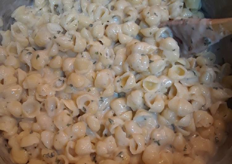 Creamy Garlic Shells