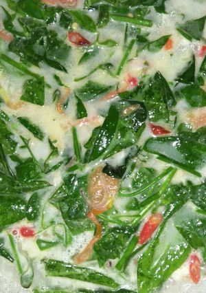 Foto resep Jangan Katu Santen Bening
