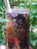 Winter Melon Drink with Basil Seeds and Grass Jelly