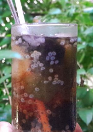 Hình của món Sâm bí đao hạt é sương sáo.