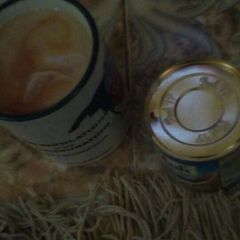 A picture of Custard.