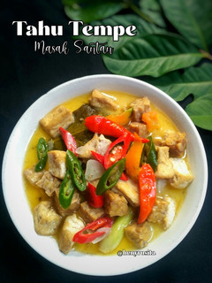 Foto resep Tahu Tempe Masak Santan Bumbu Iris